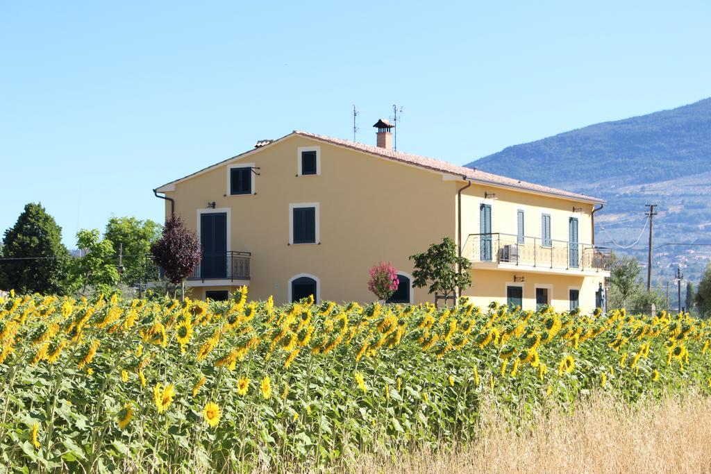 Il Podere Di Francesco Rivotorto Kültér fotó